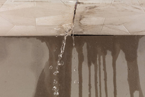 Professional Burst Pipe Cleanup technician working in Mecosta, MI